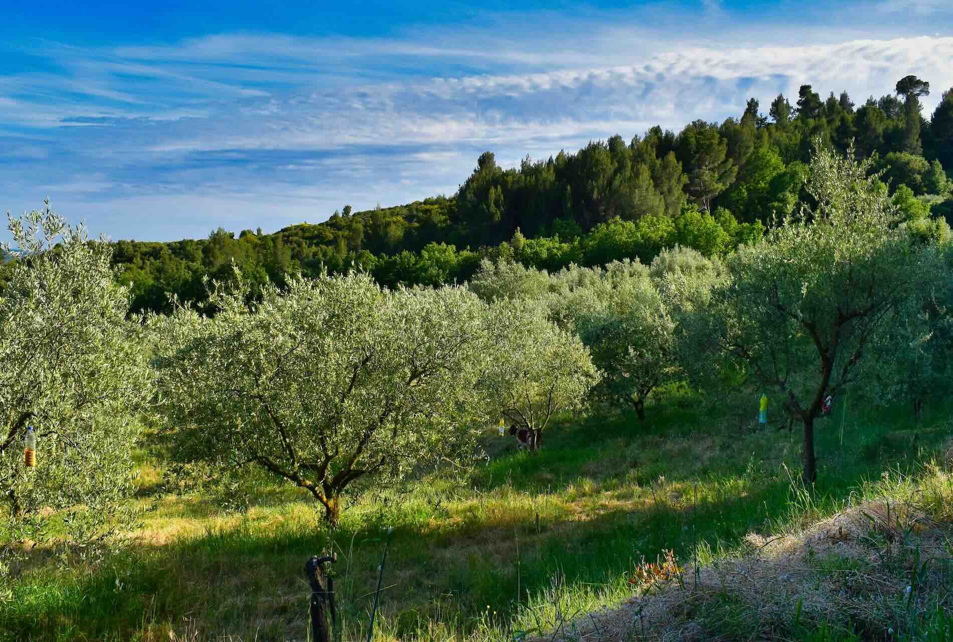 Les Combes de Vacaresse