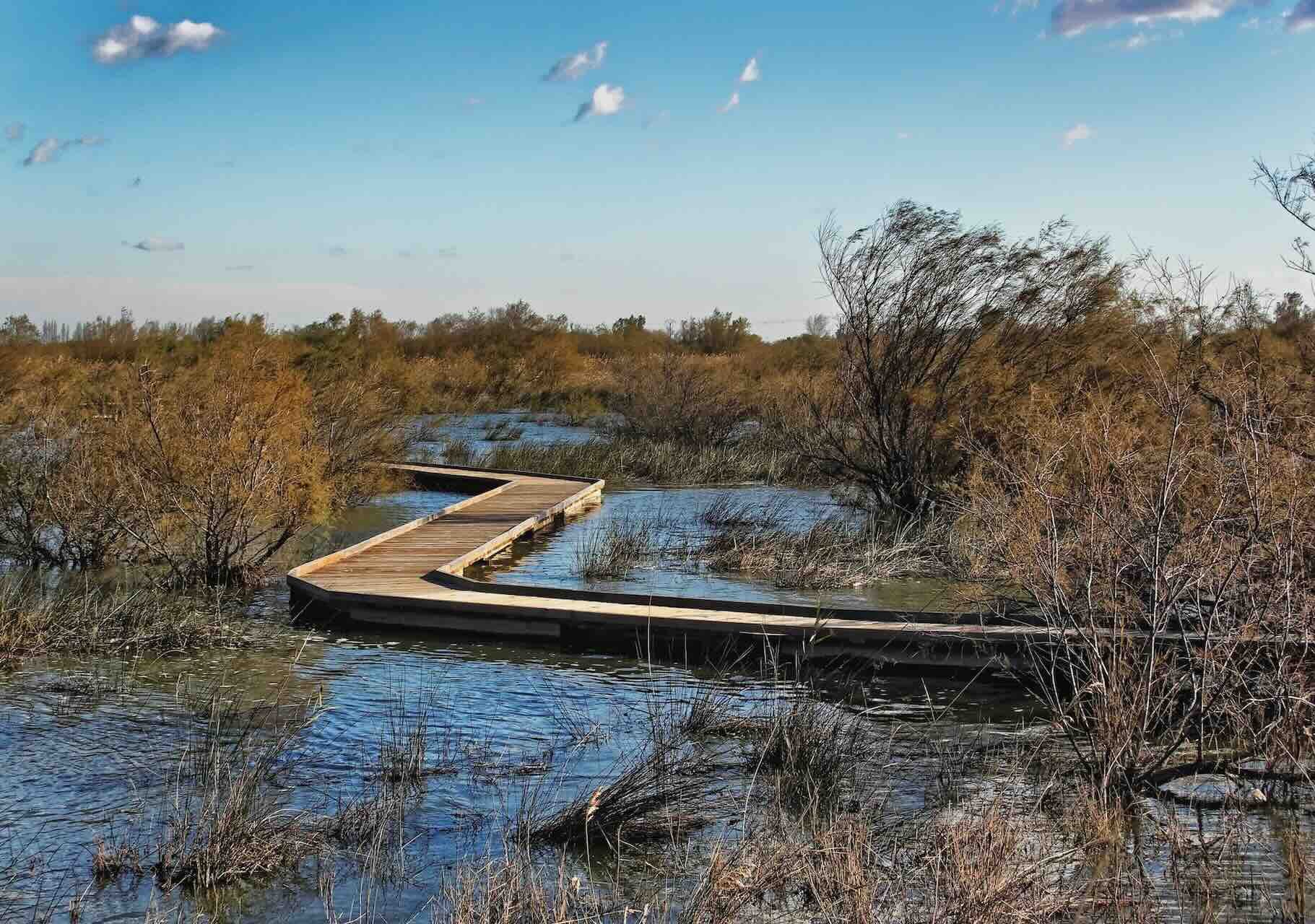 Rserve Naturelle du Scamandre - Camargue