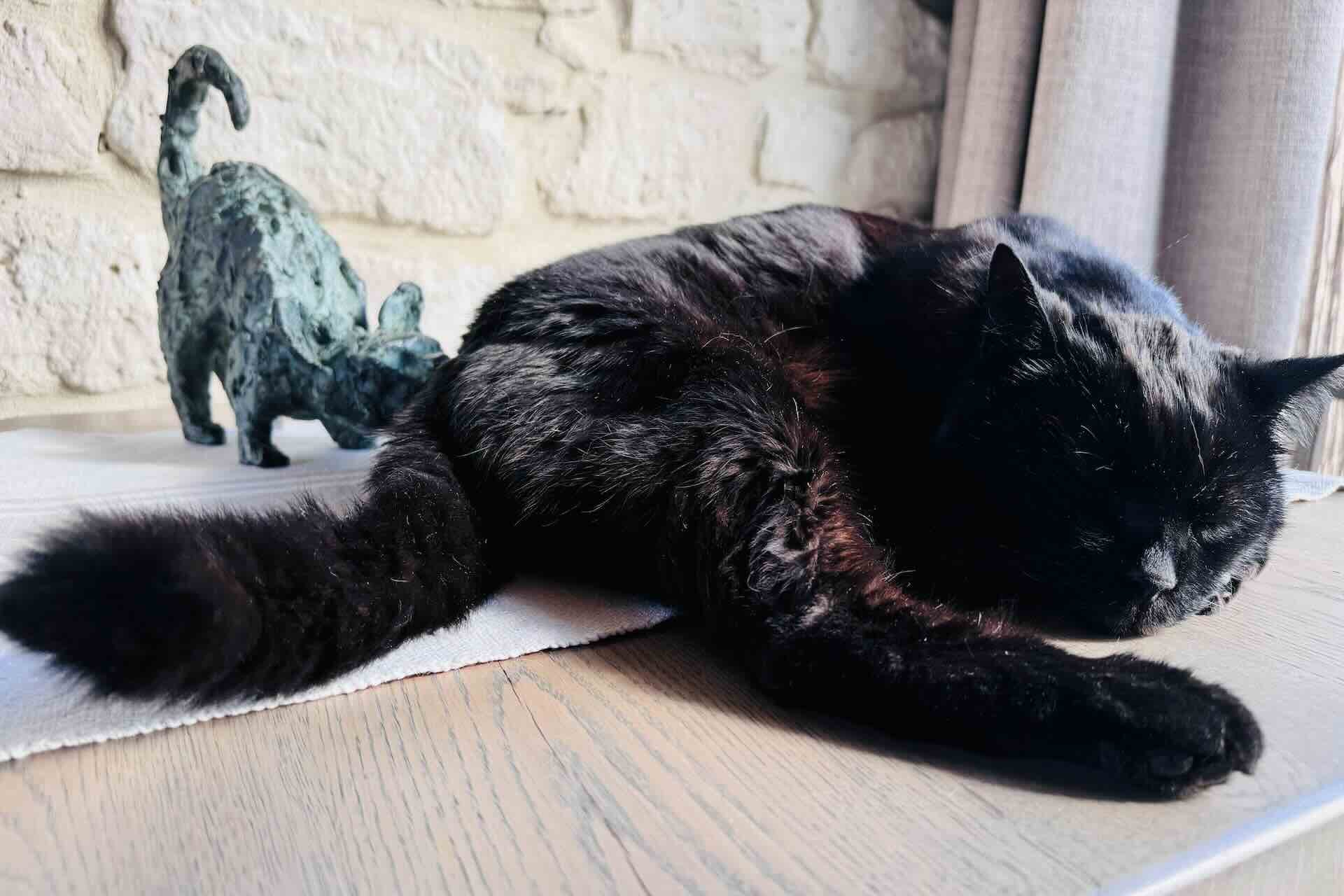 Quand l'un des matres des lieux s'en va...
