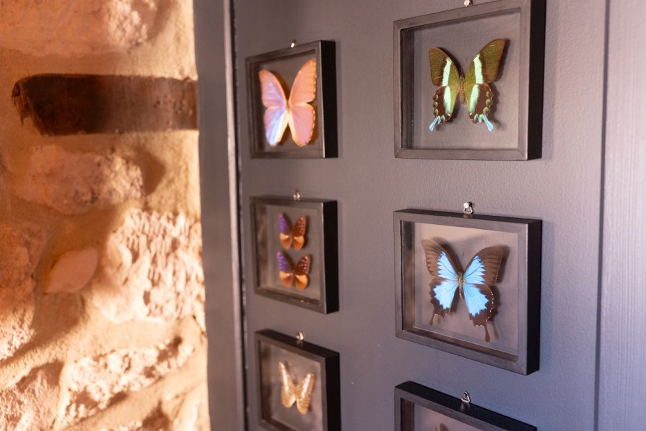 R�ve de Papillon