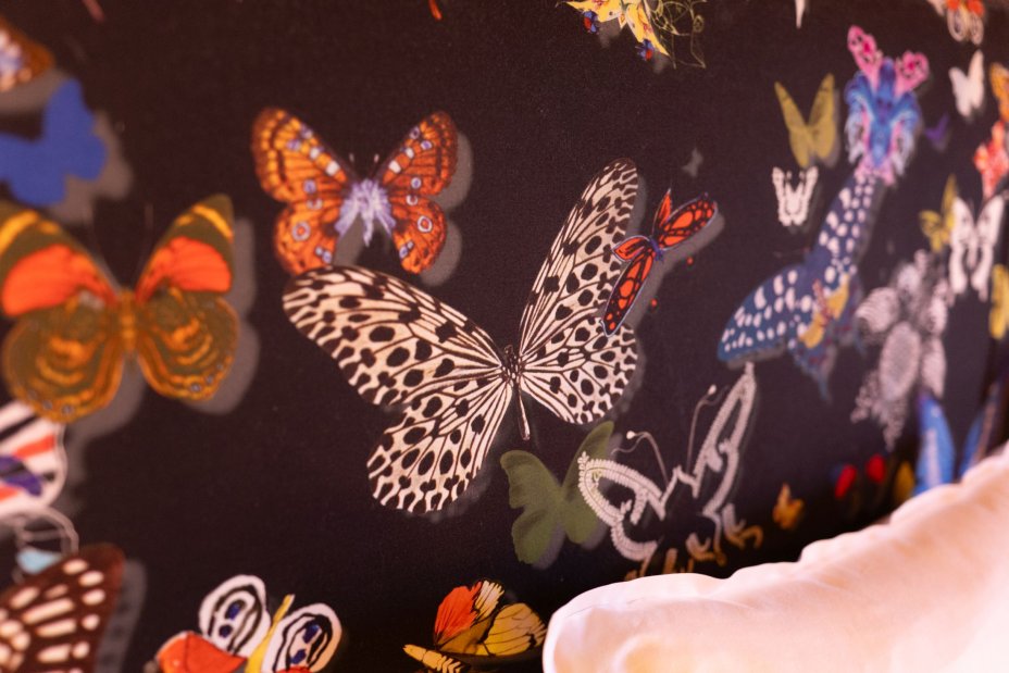 R�ve de Papillon